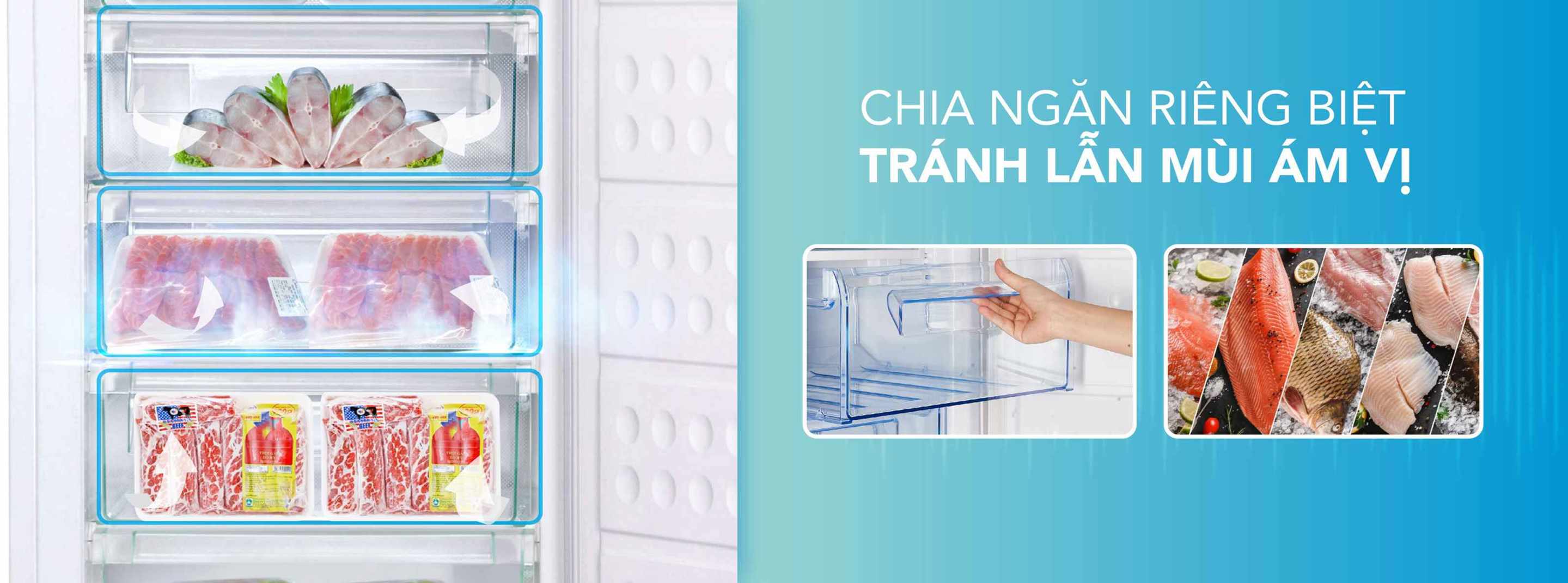 Tủ bảo quản Hòa Phát dạng đứng 147 lít HPF-UAH6147
